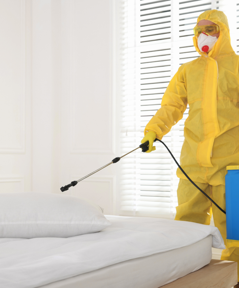 Professional Pest Control Team in West Lakes